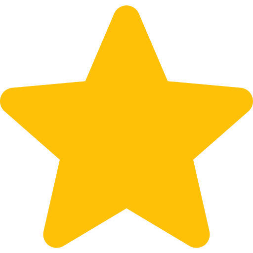 filled star icon